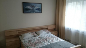 Cosy appartment in great location, Kaunas